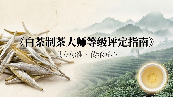 春茶正当时，标准定未来！抢占先机，白茶制茶大师标准起草欢迎您