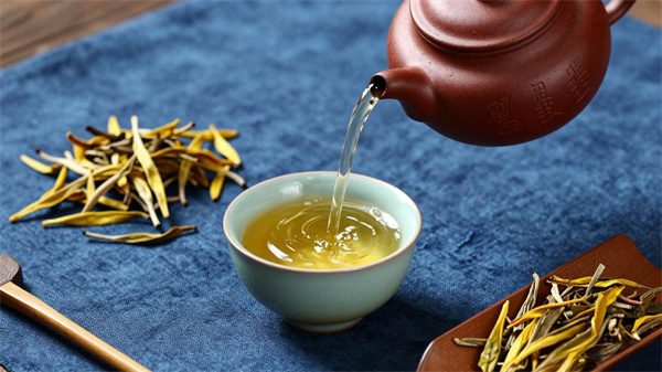 一叶好茶，藏着千年疗愈智慧：茶的药用价值