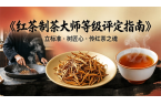 春日茶香，标准领航：抢占时代红利，红茶制